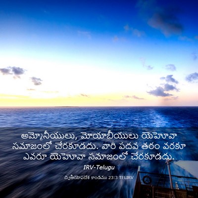 Picture 03 - ద్వితీయోపదేశ కాండము 23:3 TELIRV - అమ్మోనీయులు, - Bible Verse Picture