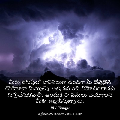 Picture 03 - ద్వితీయోపదేశ కాండము 24:18 TELIRV - మీరు ఐగుప్తులో - Bible Verse Picture