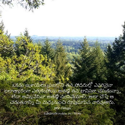 Picture 03 - ద్వితీయోపదేశ కాండము 24:7 TELIRV - ఒకడు ఇశ్రాయేలు - Bible Verse Picture