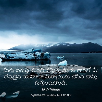 Picture 03 - ద్వితీయోపదేశ కాండము 24:9 TELIRV - మీరు ఐగుప్తు - Bible Verse Picture
