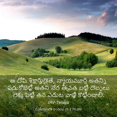 Picture 03 - ద్వితీయోపదేశ కాండము 25:2 TELIRV - ఆ దోషి - Bible Verse Picture