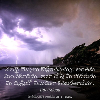 Picture 03 - ద్వితీయోపదేశ కాండము 25:3 TELIRV - నలభై దెబ్బలు - Bible Verse Picture