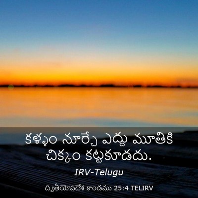 Picture 03 - ద్వితీయోపదేశ కాండము 25:4 TELIRV - కళ్ళం నూర్చే - Bible Verse Picture
