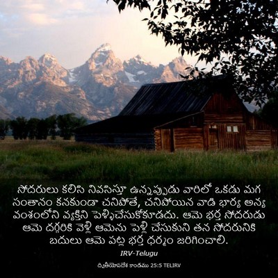 Picture 03 - ద్వితీయోపదేశ కాండము 25:5 TELIRV - సోదరులు కలిసి - Bible Verse Picture
