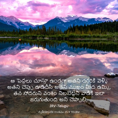 Picture 03 - ద్వితీయోపదేశ కాండము 25:9 TELIRV - ఆ పెద్దలు చూస్తూ - Bible Verse Picture