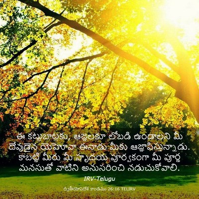 Picture 03 - ద్వితీయోపదేశ కాండము 26:16 TELIRV - ఈ కట్టుబాట్లకు, - Bible Verse Picture
