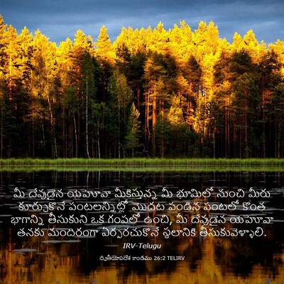 Picture 03 - ద్వితీయోపదేశ కాండము 26:2 TELIRV - మీ దేవుడైన యెహోవా - Bible Verse Picture
