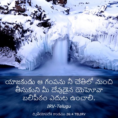 Picture 03 - ద్వితీయోపదేశ కాండము 26:4 TELIRV - యాజకుడు ఆ గంపను నీ - Bible Verse Picture