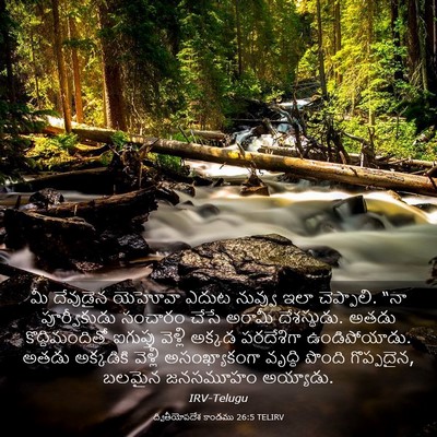 Picture 03 - ద్వితీయోపదేశ కాండము 26:5 TELIRV - మీ దేవుడైన యెహోవా - Bible Verse Picture