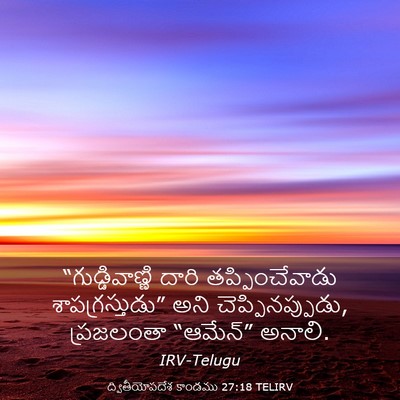 Picture 03 - ద్వితీయోపదేశ కాండము 27:18 TELIRV - “గుడ్డివాణ్ణి - Bible Verse Picture