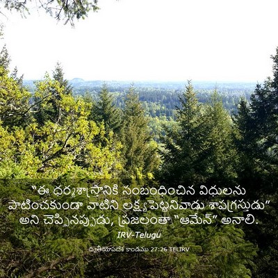 Picture 03 - ద్వితీయోపదేశ కాండము 27:26 TELIRV - “ఈ - Bible Verse Picture