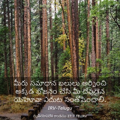 Picture 03 - ద్వితీయోపదేశ కాండము 27:7 TELIRV - మీరు సమాధాన బలులు - Bible Verse Picture