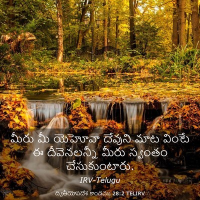 Picture 03 - ద్వితీయోపదేశ కాండము 28:2 TELIRV - మీరు మీ యెహోవా - Bible Verse Picture