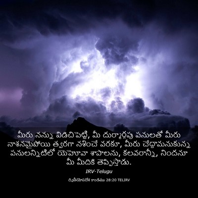 Picture 03 - ద్వితీయోపదేశ కాండము 28:20 TELIRV - మీరు నన్ను - Bible Verse Picture