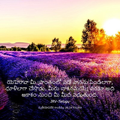 Picture 03 - ద్వితీయోపదేశ కాండము 28:24 TELIRV - యెహోవా మీ - Bible Verse Picture