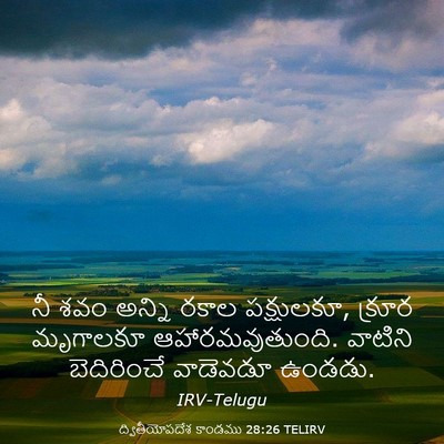 Picture 03 - ద్వితీయోపదేశ కాండము 28:26 TELIRV - నీ శవం అన్ని రకాల - Bible Verse Picture