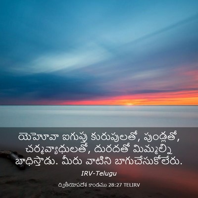 Picture 03 - ద్వితీయోపదేశ కాండము 28:27 TELIRV - యెహోవా ఐగుప్తు - Bible Verse Picture