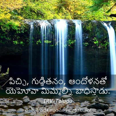 Picture 03 - ద్వితీయోపదేశ కాండము 28:28 TELIRV - పిచ్చి, గుడ్డితనం, - Bible Verse Picture