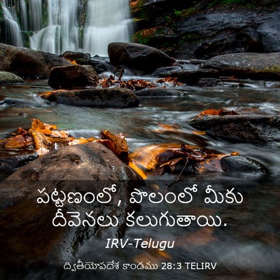 Picture 03 - ద్వితీయోపదేశ కాండము 28:3 TELIRV - పట్టణంలో, పొలంలో - Bible Verse Picture