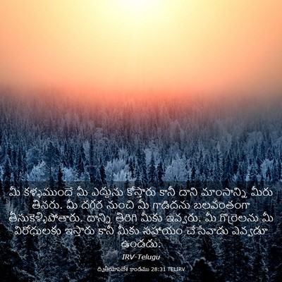 Picture 03 - ద్వితీయోపదేశ కాండము 28:31 TELIRV - మీ కళ్ళముందే మీ - Bible Verse Picture