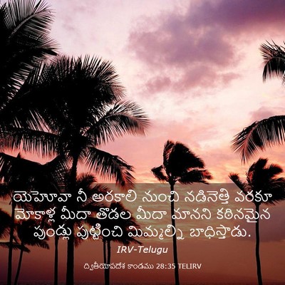 Picture 03 - ద్వితీయోపదేశ కాండము 28:35 TELIRV - యెహోవా నీ అరకాలి - Bible Verse Picture