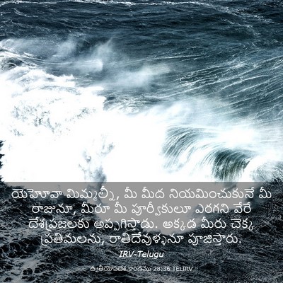 Picture 03 - ద్వితీయోపదేశ కాండము 28:36 TELIRV - యెహోవా మిమ్మల్నీ, - Bible Verse Picture