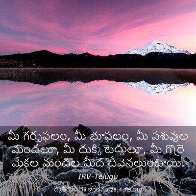 Picture 03 - ద్వితీయోపదేశ కాండము 28:4 TELIRV - మీ గర్భఫలం, మీ - Bible Verse Picture