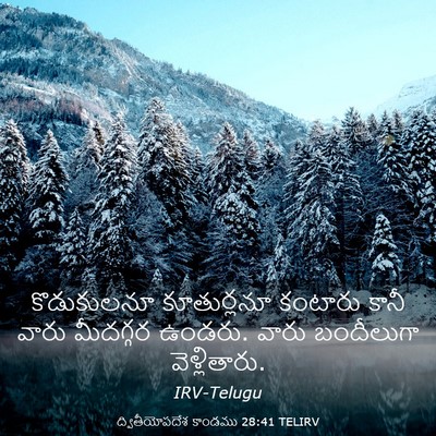 Picture 03 - ద్వితీయోపదేశ కాండము 28:41 TELIRV - కొడుకులనూ - Bible Verse Picture