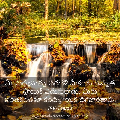 Picture 03 - ద్వితీయోపదేశ కాండము 28:43 TELIRV - మీ మధ్యనున్న - Bible Verse Picture
