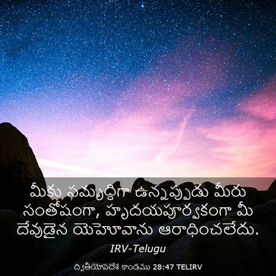 Picture 03 - ద్వితీయోపదేశ కాండము 28:47 TELIRV - మీకు సమృద్ధిగా - Bible Verse Picture