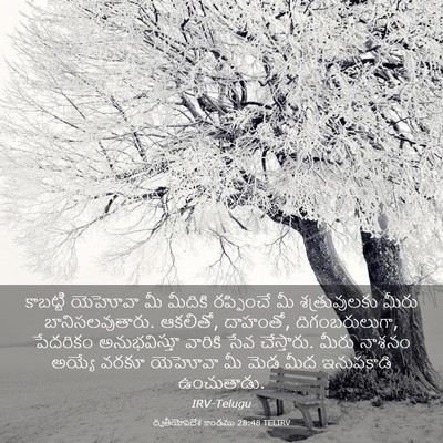 Picture 03 - ద్వితీయోపదేశ కాండము 28:48 TELIRV - కాబట్టి యెహోవా మీ - Bible Verse Picture