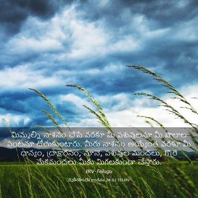 Picture 03 - ద్వితీయోపదేశ కాండము 28:51 TELIRV - మిమ్మల్ని నాశనం - Bible Verse Picture