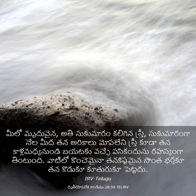 Picture 03 - ద్వితీయోపదేశ కాండము 28:56 TELIRV - మీలో మృదువైన, అతి - Bible Verse Picture