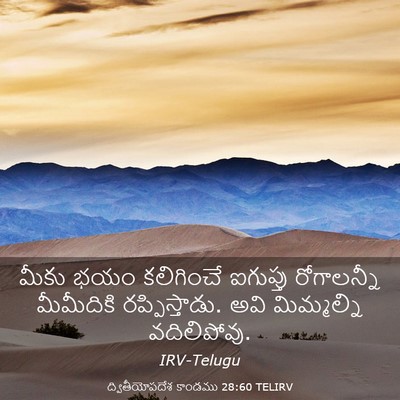 Picture 03 - ద్వితీయోపదేశ కాండము 28:60 TELIRV - మీకు భయం కలిగించే - Bible Verse Picture