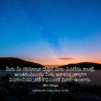 Picture 03 - ద్వితీయోపదేశ కాండము 28:62 TELIRV - మీరు మీ యెహోవా - Bible Verse Picture