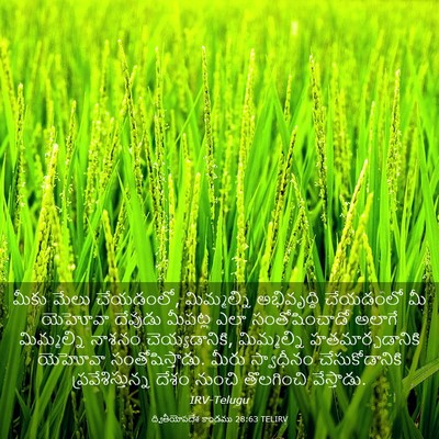 Picture 03 - ద్వితీయోపదేశ కాండము 28:63 TELIRV - మీకు మేలు చేయడంలో, - Bible Verse Picture