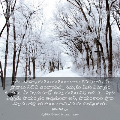 Picture 03 - ద్వితీయోపదేశ కాండము 28:67 TELIRV - రాత్రింబవళ్ళూ భయం - Bible Verse Picture