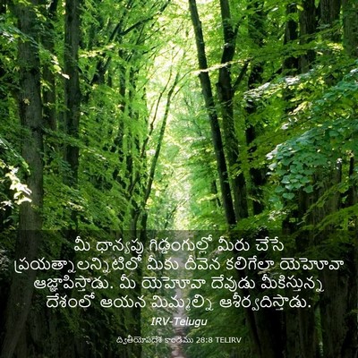 Picture 03 - ద్వితీయోపదేశ కాండము 28:8 TELIRV - మీ ధాన్యపు - Bible Verse Picture