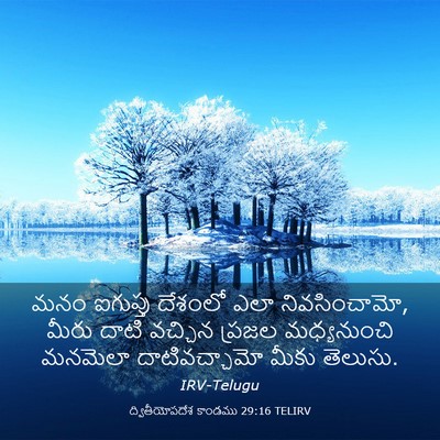 Picture 03 - ద్వితీయోపదేశ కాండము 29:16 TELIRV - మనం ఐగుప్తు - Bible Verse Picture