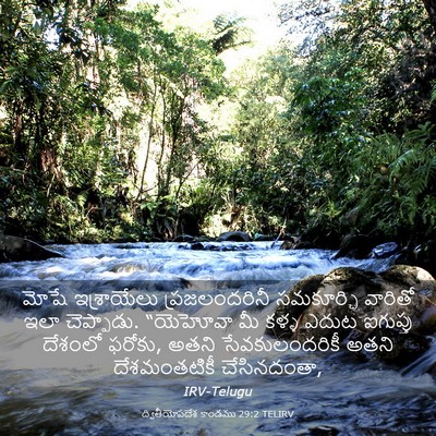 Picture 03 - ద్వితీయోపదేశ కాండము 29:2 TELIRV - మోషే ఇశ్రాయేలు - Bible Verse Picture
