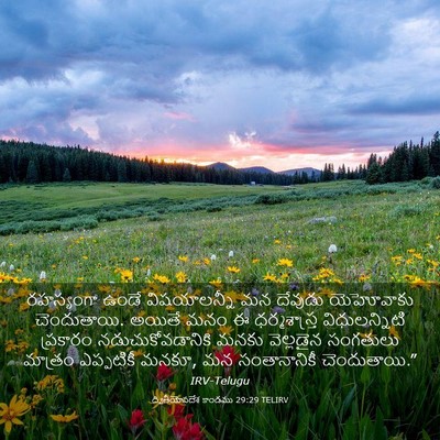 Picture 03 - ద్వితీయోపదేశ కాండము 29:29 TELIRV - రహస్యంగా ఉండే - Bible Verse Picture