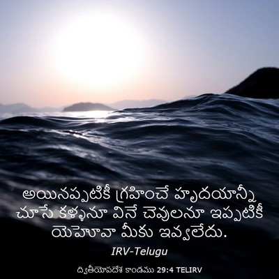 Picture 03 - ద్వితీయోపదేశ కాండము 29:4 TELIRV - అయినప్పటికీ - Bible Verse Picture