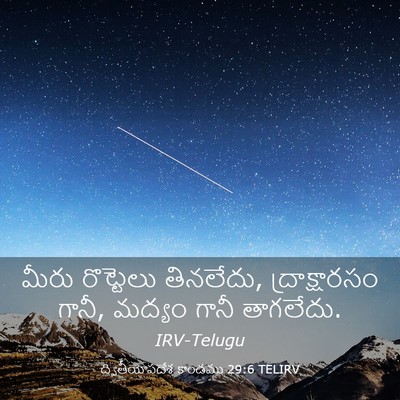 Picture 03 - ద్వితీయోపదేశ కాండము 29:6 TELIRV - మీరు రొట్టెలు - Bible Verse Picture