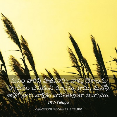 Picture 03 - ద్వితీయోపదేశ కాండము 29:8 TELIRV - మనం వారిని - Bible Verse Picture