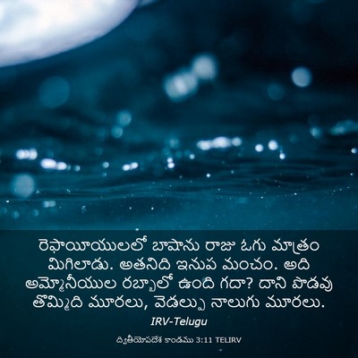 Picture 03 - ద్వితీయోపదేశ కాండము 3:11 TELIRV - రెఫాయీయులలో - Bible Verse Picture