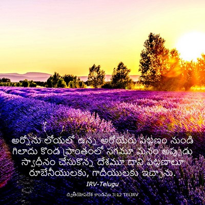 Picture 03 - ద్వితీయోపదేశ కాండము 3:12 TELIRV - అర్నోను లోయలో - Bible Verse Picture