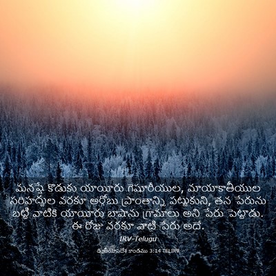 Picture 03 - ద్వితీయోపదేశ కాండము 3:14 TELIRV - మనష్షే కొడుకు - Bible Verse Picture