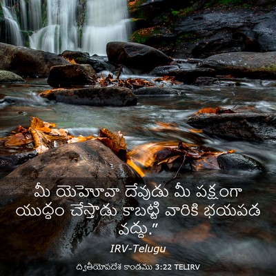 Picture 03 - ద్వితీయోపదేశ కాండము 3:22 TELIRV - మీ యెహోవా దేవుడు - Bible Verse Picture