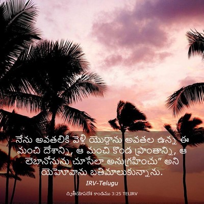 Picture 03 - ద్వితీయోపదేశ కాండము 3:25 TELIRV - నేను అవతలికి - Bible Verse Picture