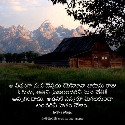 Picture 03 - ద్వితీయోపదేశ కాండము 3:3 TELIRV - ఆ విధంగా మన దేవుడు - Bible Verse Picture
